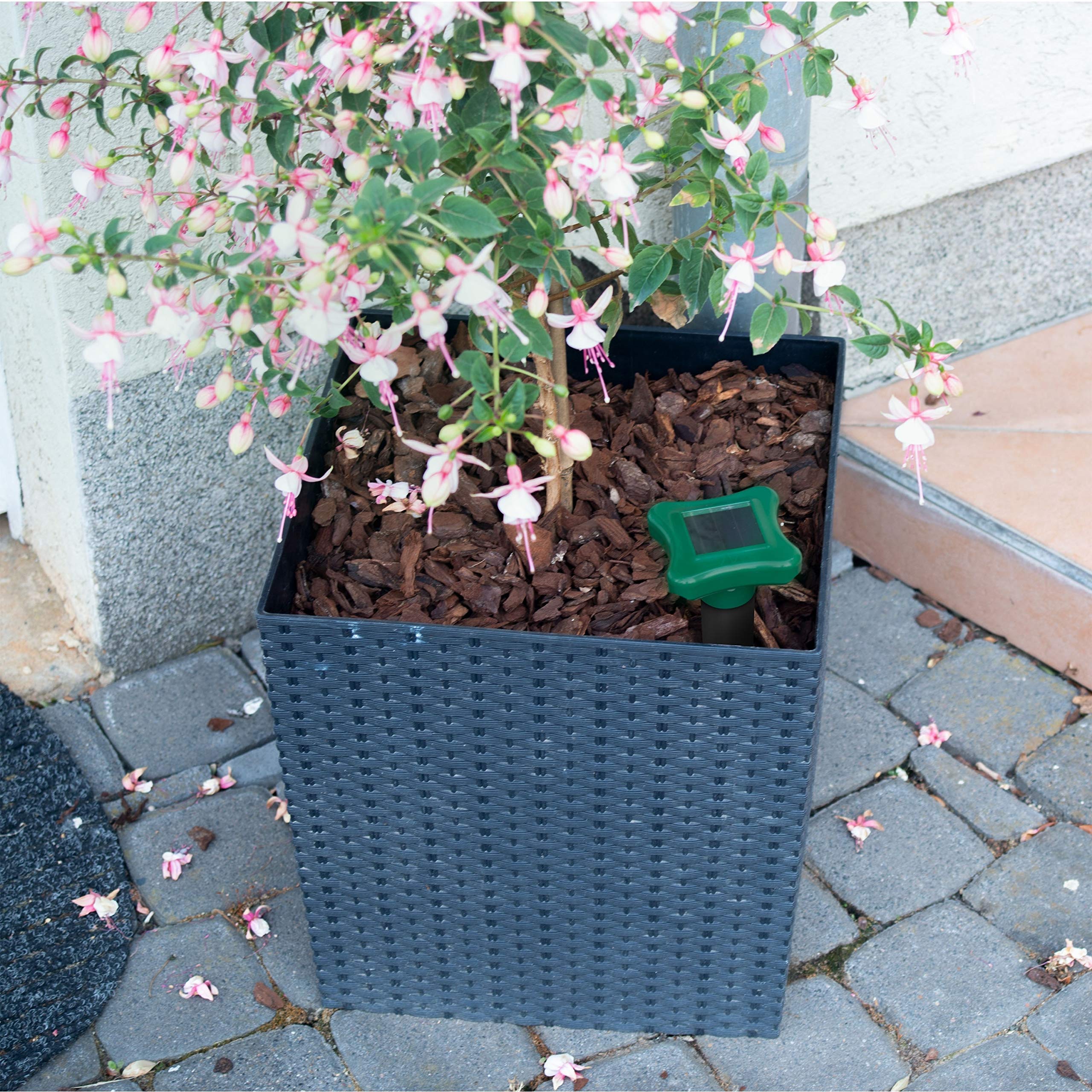 gardigo-m-use-feind-solar-ameisenabwehr-600-hz-700-m image 3