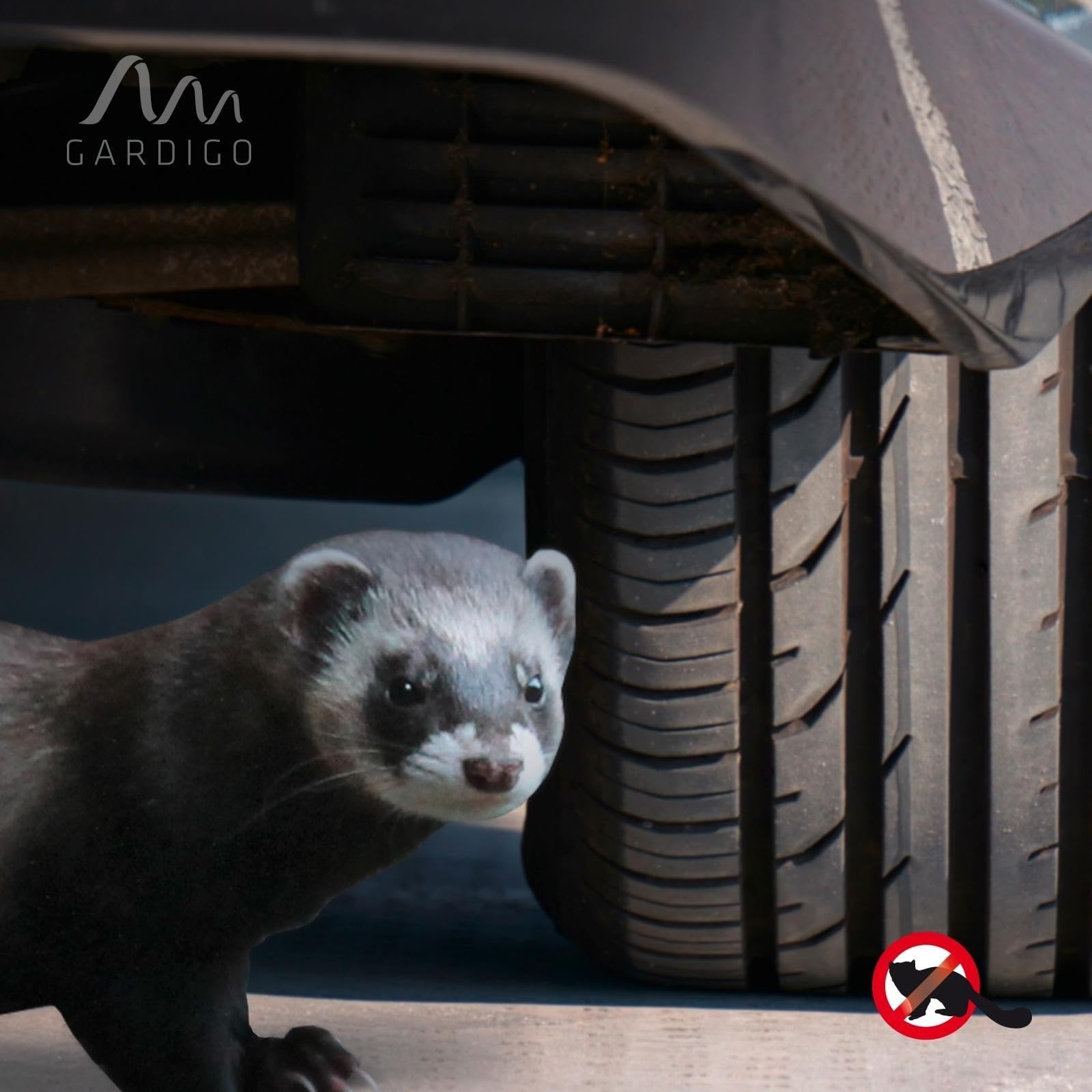 gardigo-marder-schock-marderschreck-auto-stromschlag-ultraschall image 5