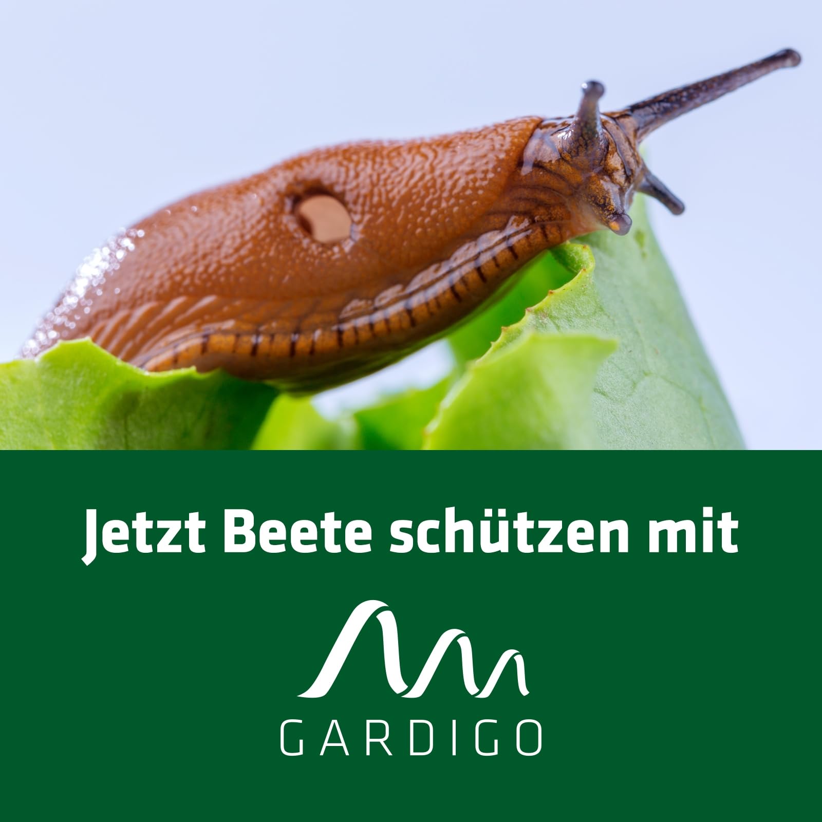 gardigo-schneckenfalle-4er-set-bierfalle-f-rs-beet-ohne-gift image 6