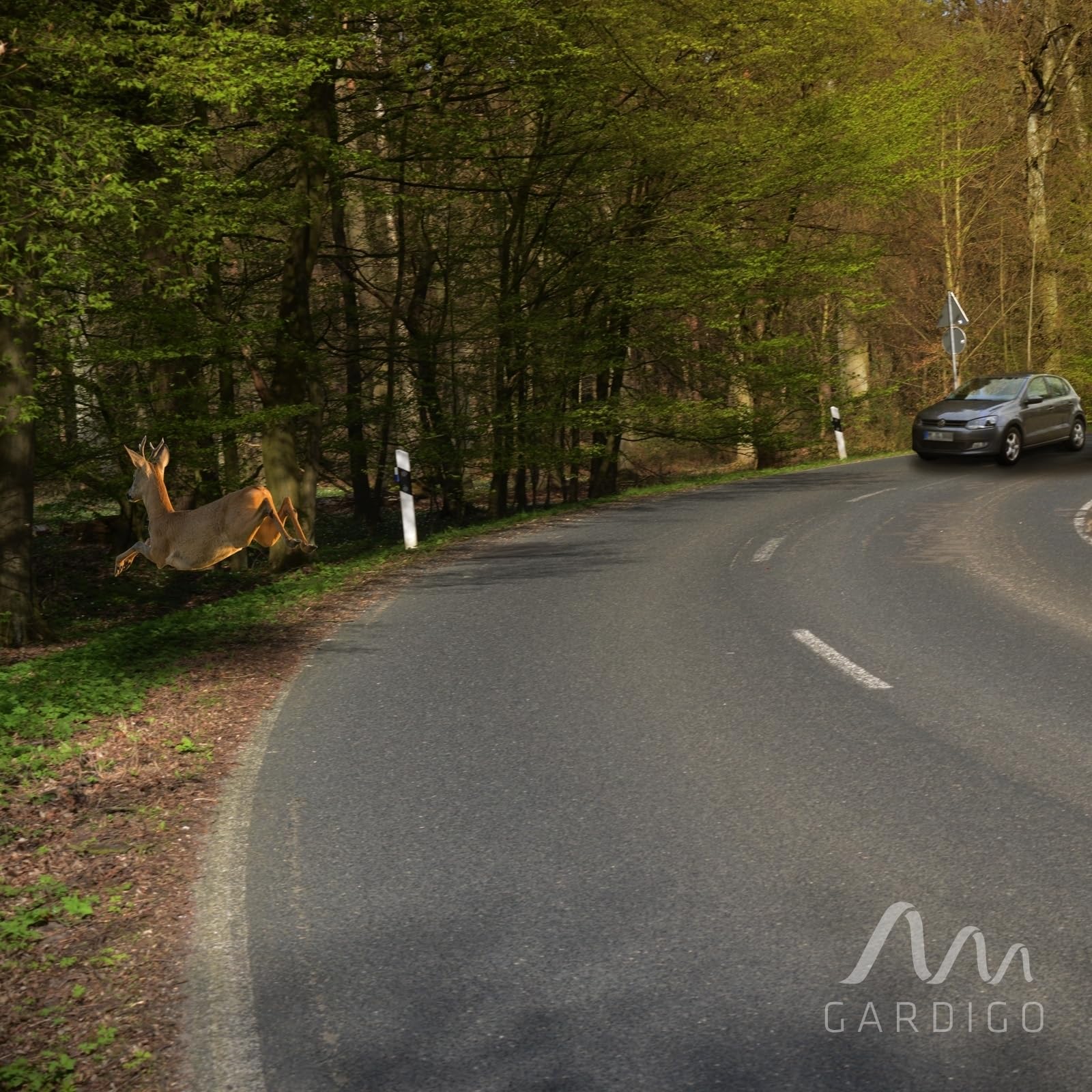 gardigo-marder-frei-wildwarner-auto-2er-set-selbstklebend image 5