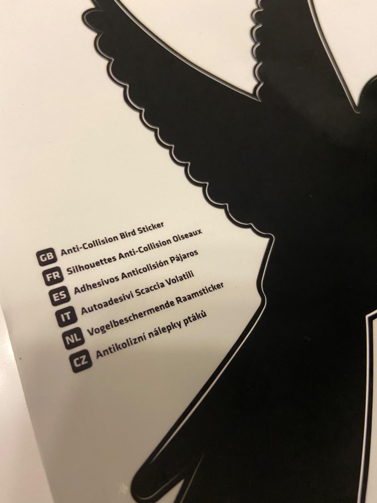 Gute Größe