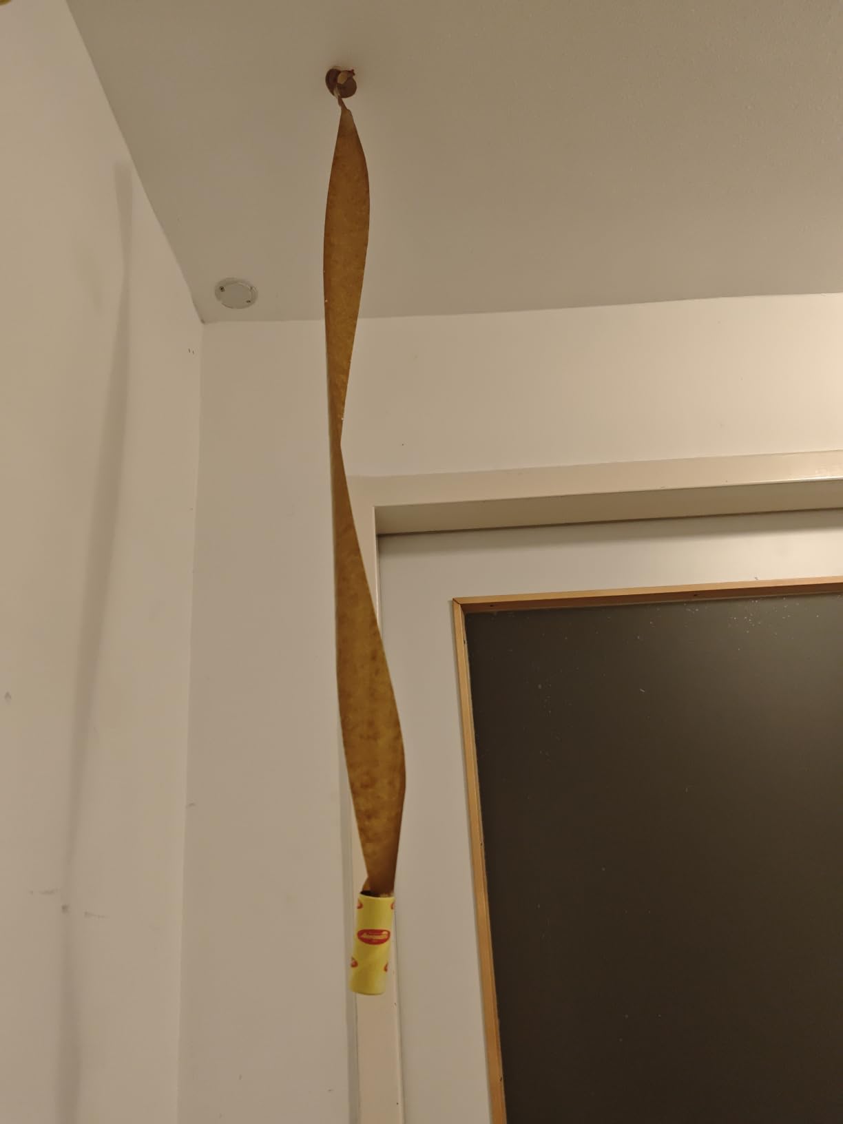 Fangen super