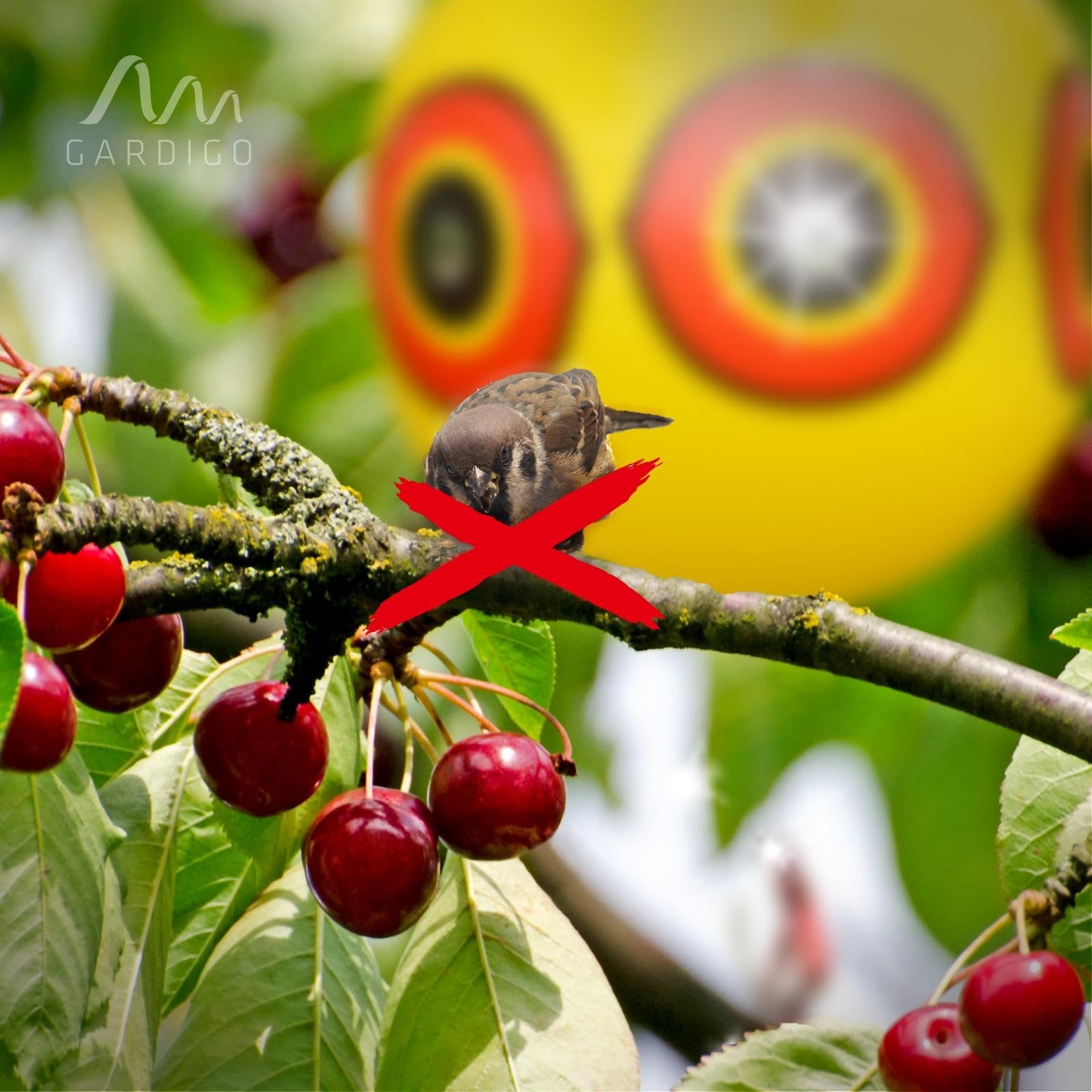 gardigo-vogel-frei-ballon-2er-set-vogelscheuche-augen image 3