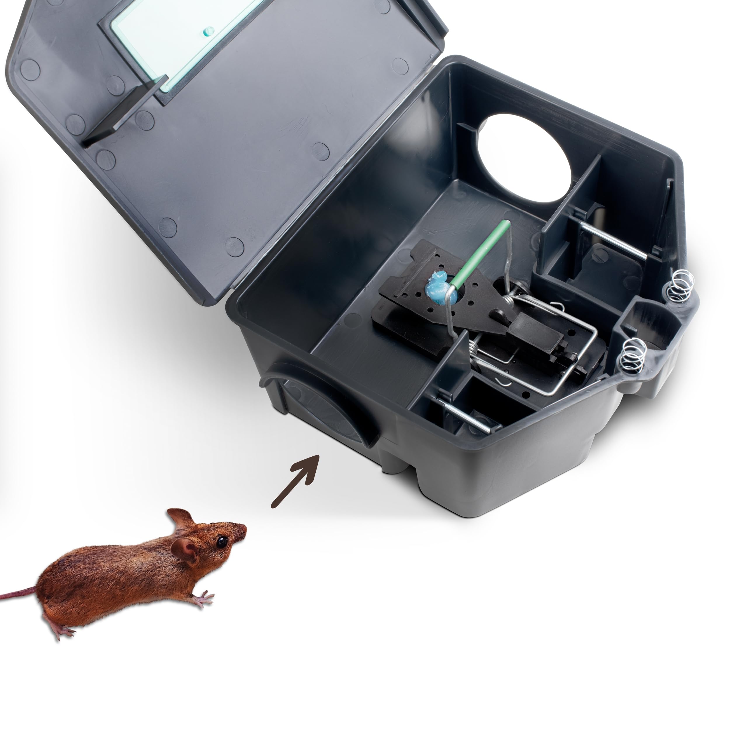 gardigo-m-use-feind-k-derbox-f-r-ratten-und-m-use image 5