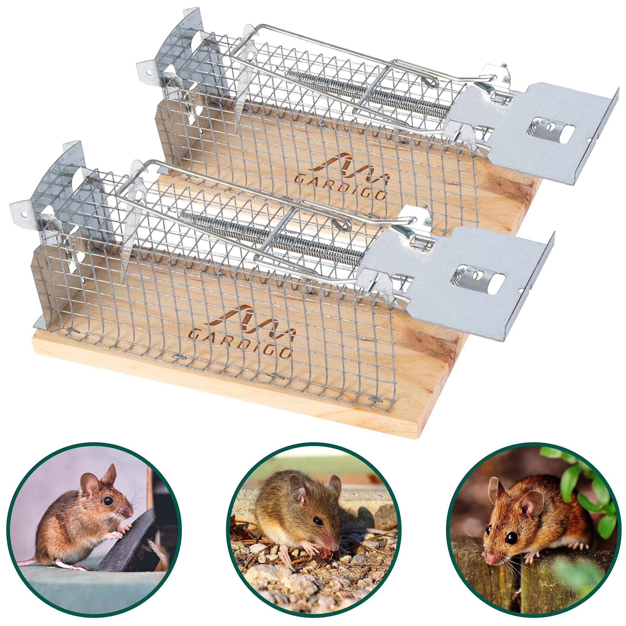 gardigo-m-use-feind-lebendfalle-holz-2er-set-tierfreundlich image 2