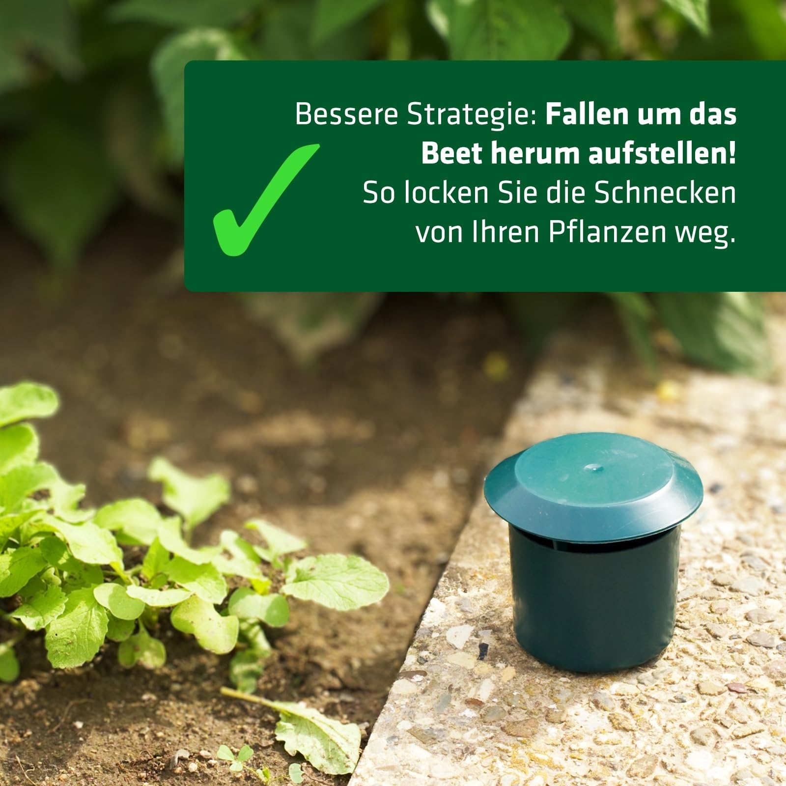 gardigo-schneckenfalle-4er-set-bierfalle-f-rs-beet-ohne-gift image 4