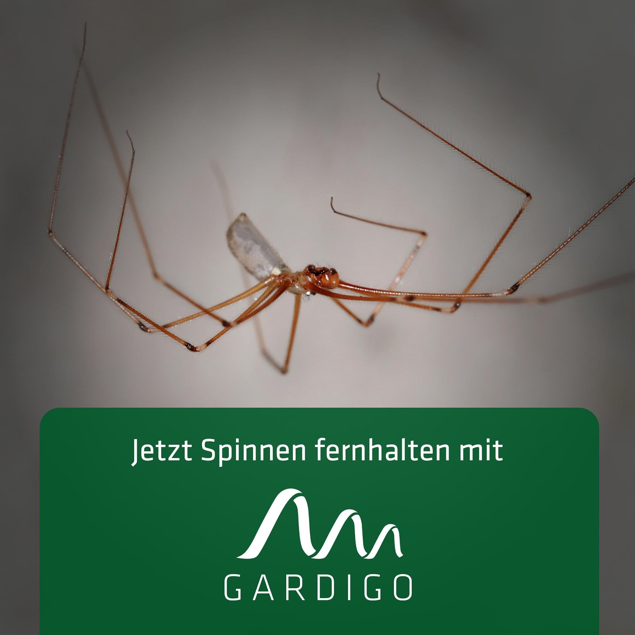 gardigo-spinnenabwehr-stecker-ultraschall-25-m-27-khz image 6