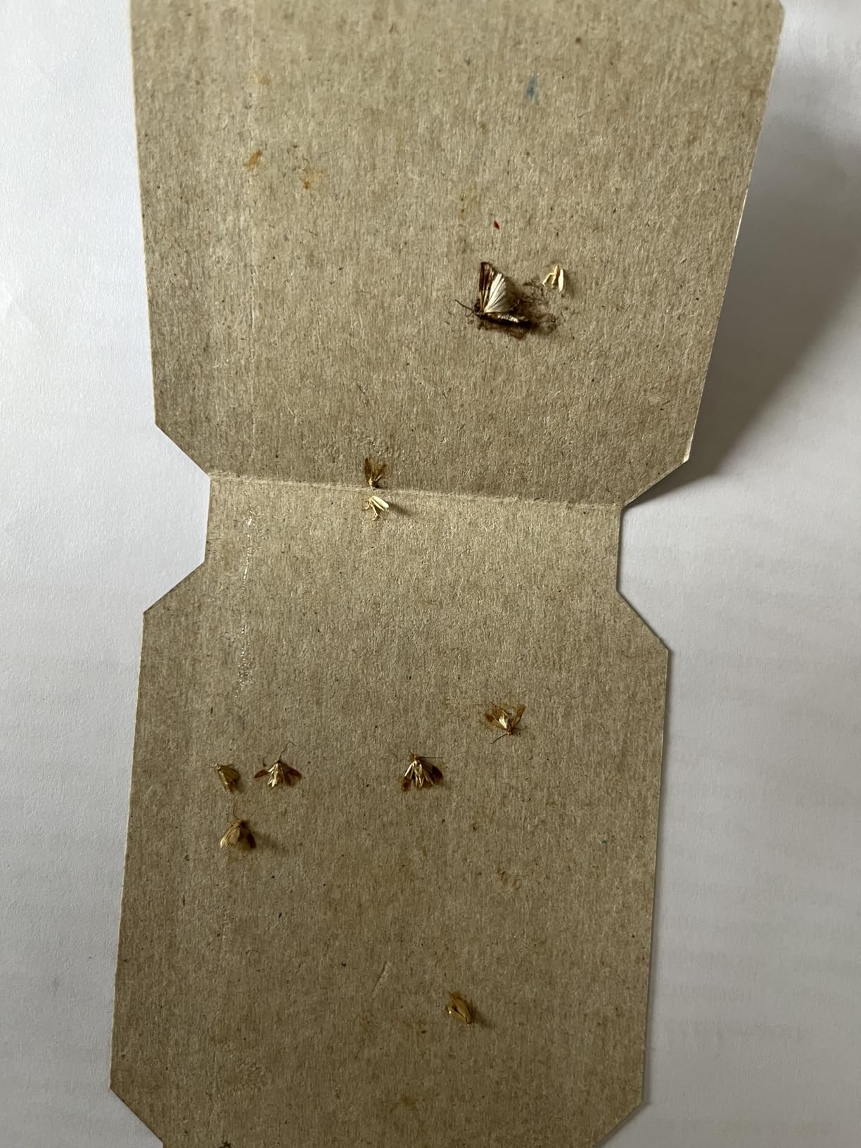 Unauffällig im Schrank