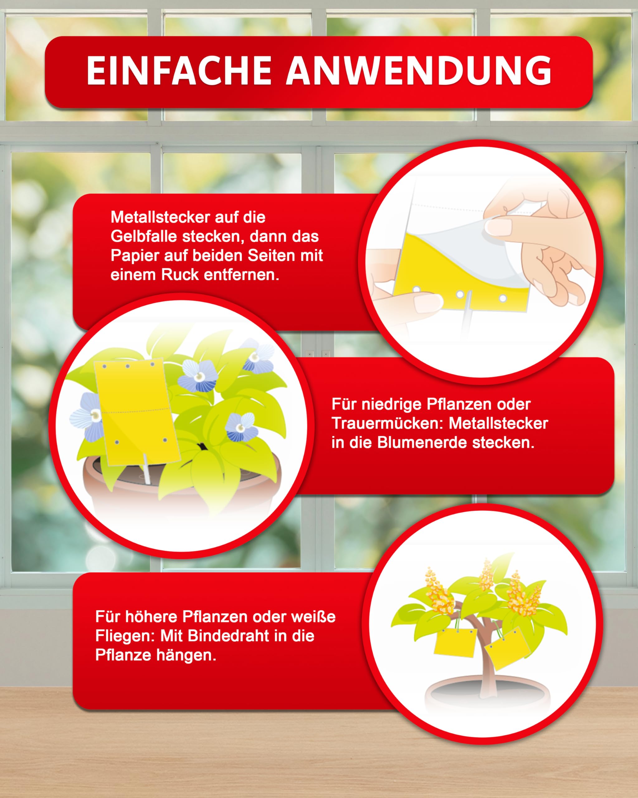 aeroxon-gelbfalle-fliegenf-nger-gelbsticker-10-st-ck-pflanzen image 4
