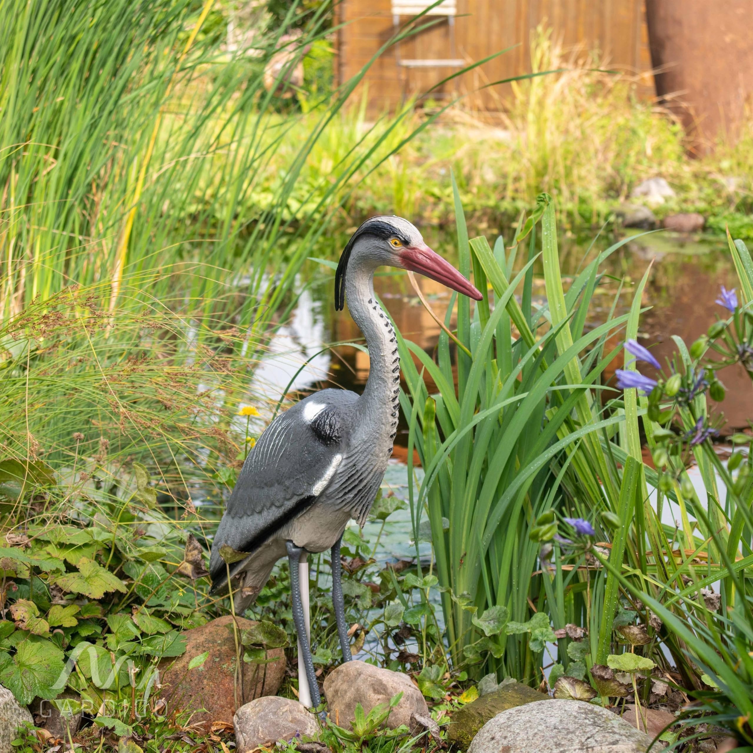 gardigo-vogel-frei-fischreiher-figur-mit-erdspie-teich image 5