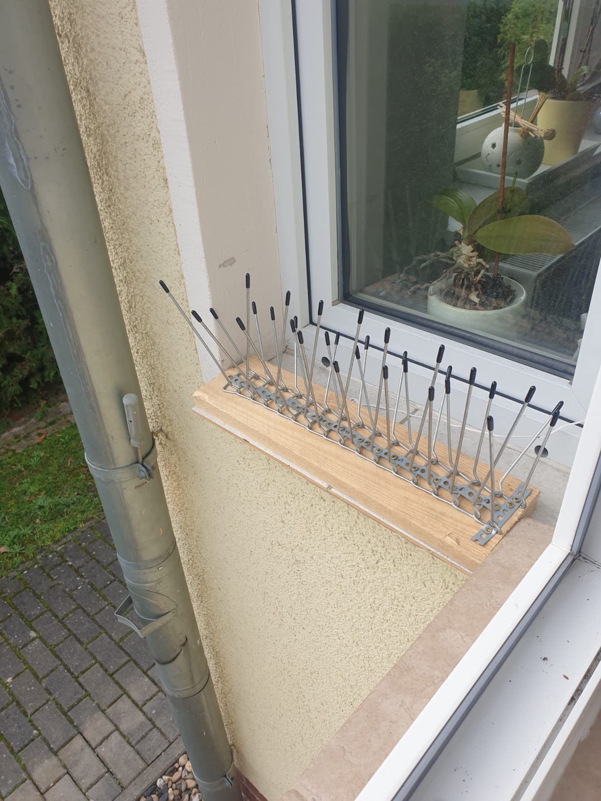 Zwei Stück gut