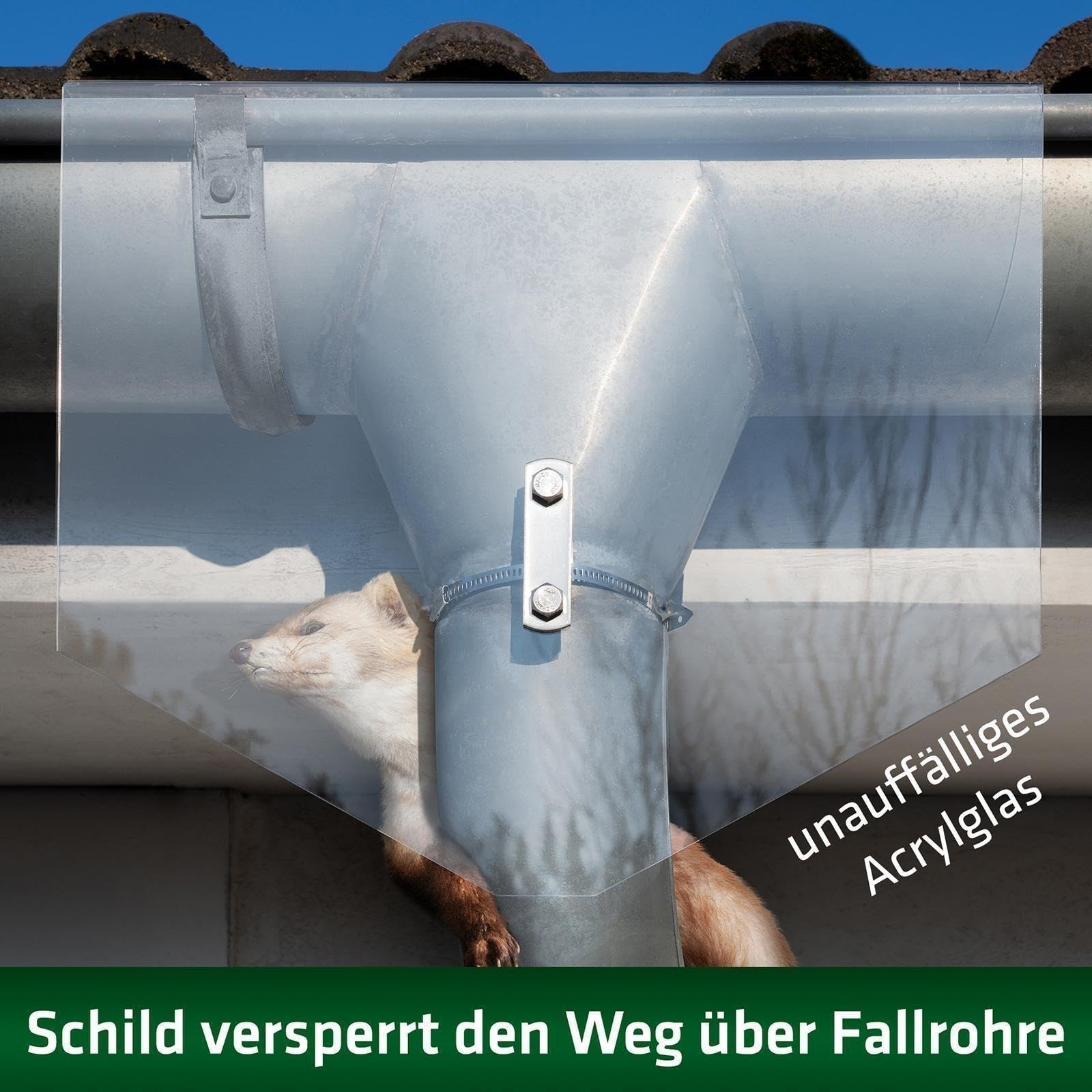 gardigo-marder-frei-marderabwehr-schild-40x35-cm-fallrohr-acrylglas image 2