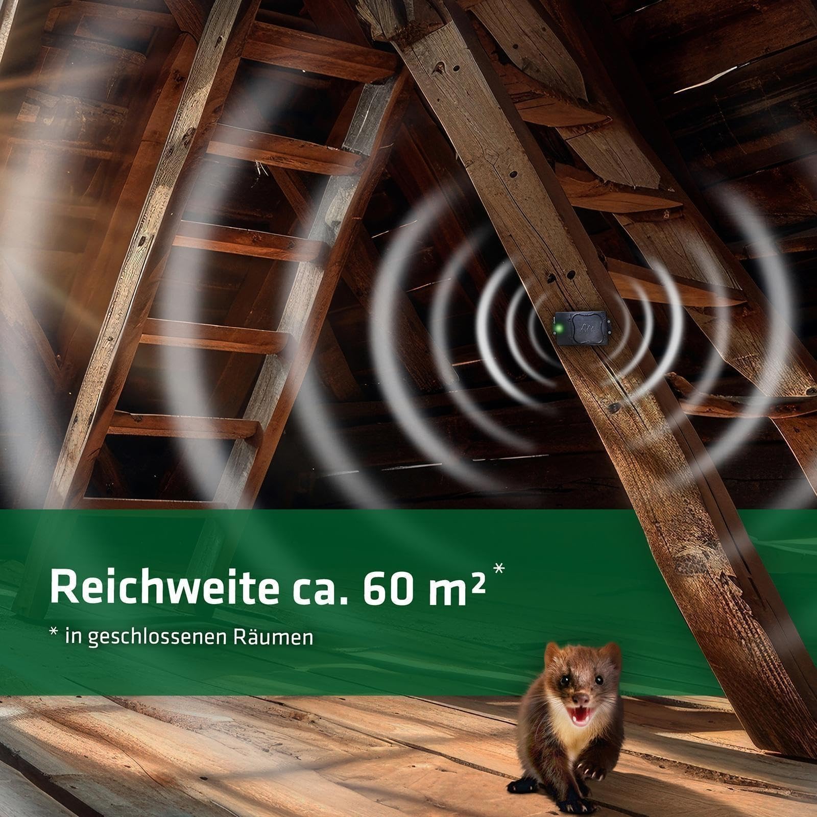 gardigo-marder-frei-marderschreck-auto-batterie-ultraschall-12-24khz image 4